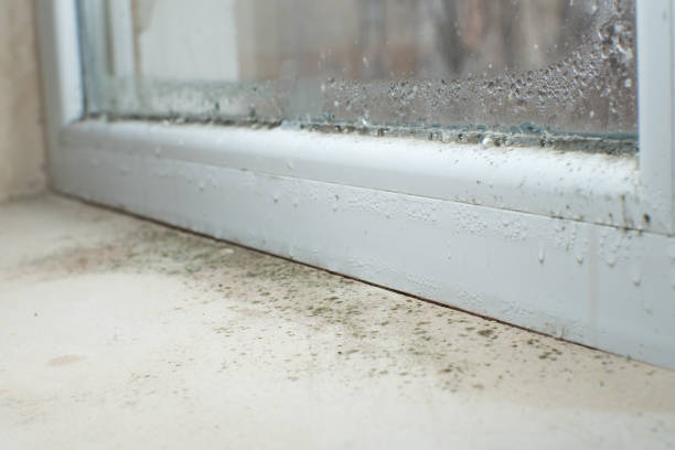 Best Mold Removal for HVAC Installations  in Gillette, WY